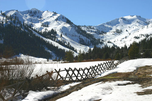 squawfence