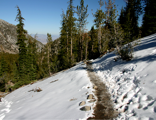 Nugget #122 C Mt Rose hike snowpath Nugget #122 C Mt Rose hike snowpath
