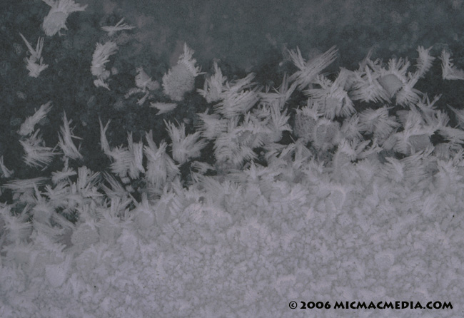 Nugget #39 C Birds flight hoarfrost ID 650 Nugget #39 C Birds flight hoarfrost ID 650